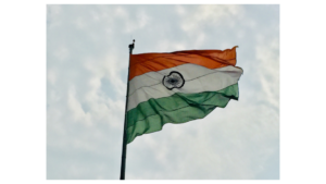 India Stresses On Must Run Status For RE During Lockdown