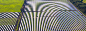 ‘1st’ Subsidy Free Solar Park In Poland Seals PPA