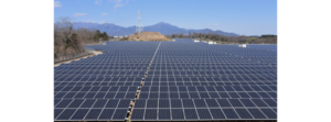Consultant For 200 MW Solar In India