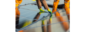 Apex & Weyerhaeuser Enter Into An Agreement