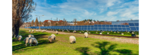 IB Vogt Raises €40 Million Loan