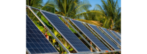 100 MW Solar EPC Tender For Maharashtra