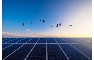 Greek Firm Raises Finance For Solar & Storage Portfolio