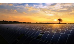 India Solar PV News Snippets
