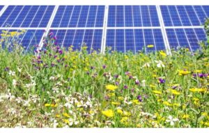 Europe Solar PV News Snippets