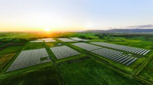 Trina Solar signs deal with Rizal Green Energy - China Solar News - TaiyangNews