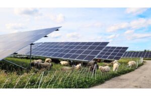 Irish Government Commits €278 Million To Climate Investments