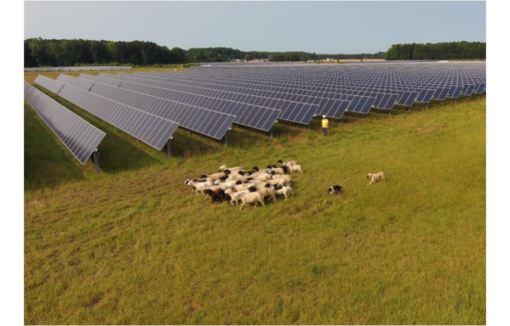 Dominion Energy
