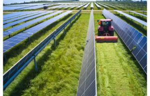Land Challenges For European Energy’s Svedberga PV Plant
