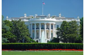 Bifacial Solar Panels Lose Section 201 Tariff Protection