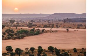 Consultant Sought For Africa’s 10 GW Solar PV Plan