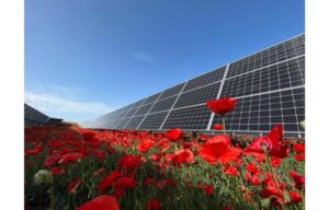 Spanish Company Buys Solar Modules At Record Low Rates