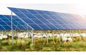 Neoen Bags Corporate Solar PPA From French Railways