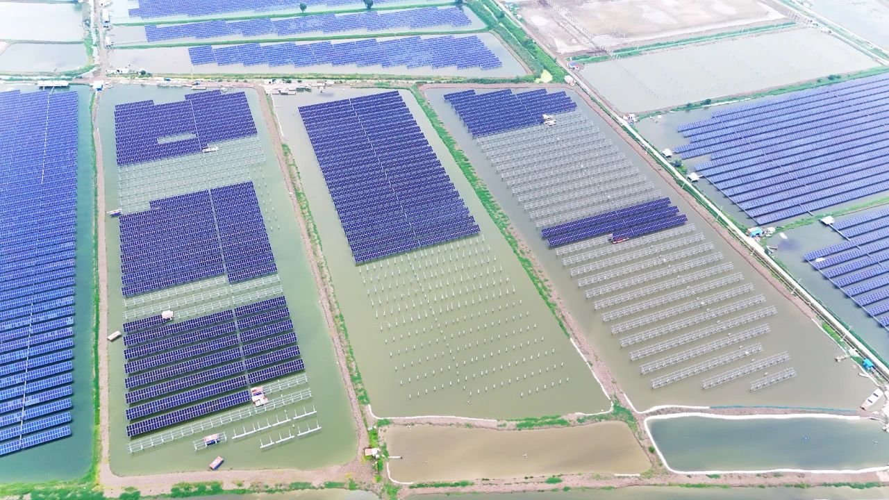 DMEGC Solar fisher-pv Jiangsu, China - TaiyangNews China Solar PV News Snippets