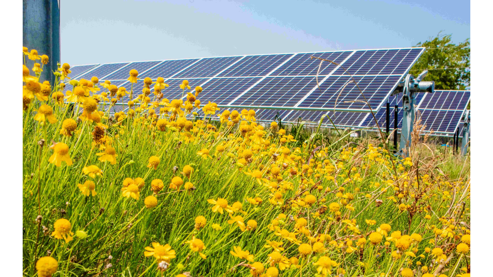 Solar Power Plant