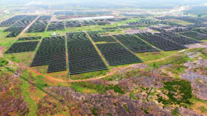India’s SECI Launches Solar PV Projects Tender For 2 GW Capacity