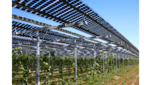 Bifacial