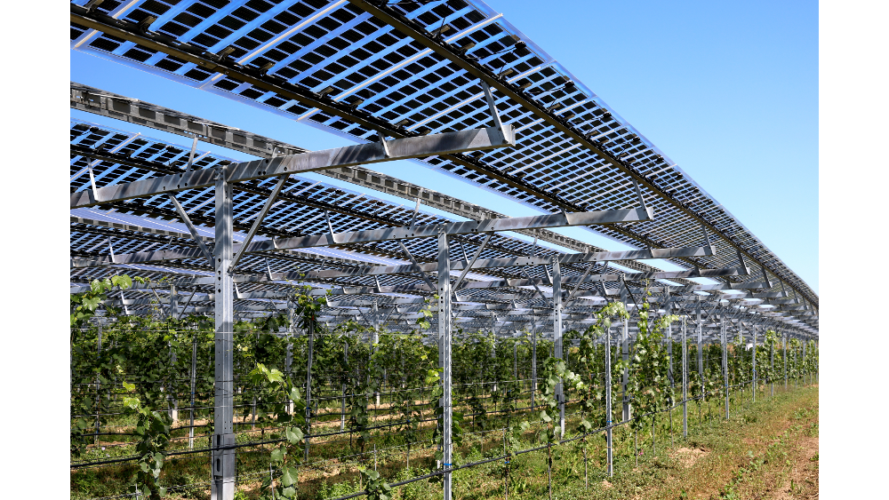 Bifacial