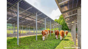 Europe’s Largest Agrivoltaic Project To Sport 753 MW Capacity
