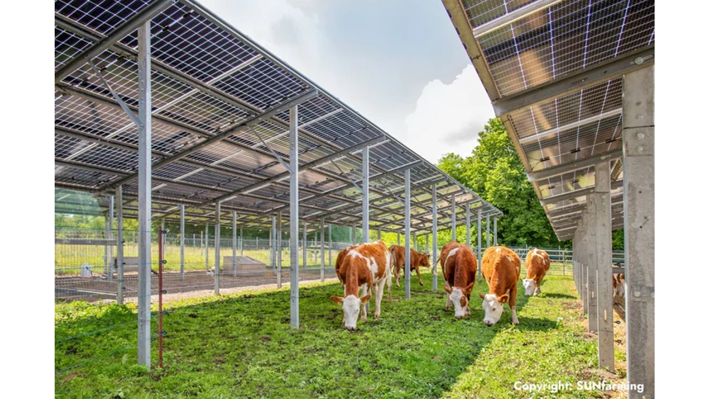 SUNfarming, Agrivoltaics