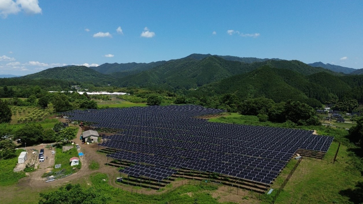 Trina Solar's Agri-PV project in Fukuchiyama, Japan - TaiyangNews China Solar PV News Snippets