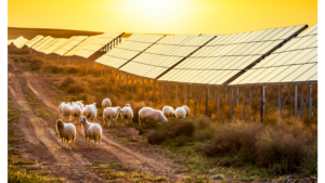 Kibo Energy Signs Agreement To Acquire 20 GW RE Capacity
