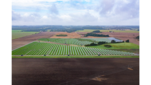 Europe Solar PV News Snippets: Alight Raises €110 Million From Rabobank & More